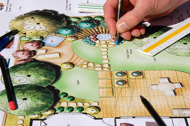 Comment les paysagistes à Cannes assurent-ils la santé durable des jardins après leur création ?