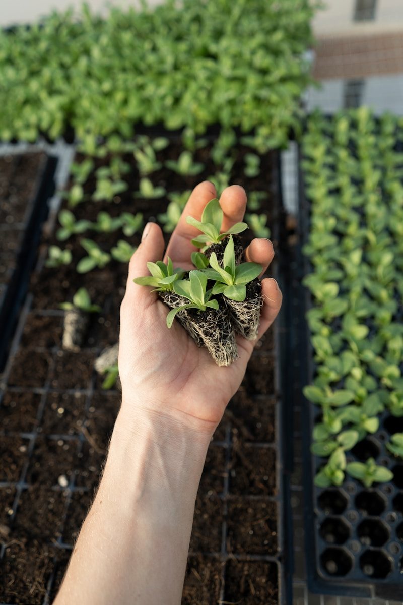 Comment un Paysagiste 95 aménage-t-il un petit jardin ?