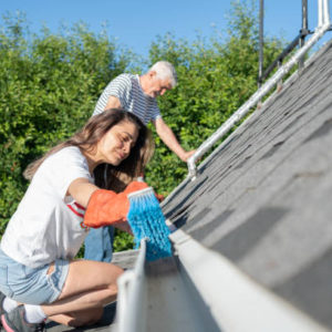 Quels produits sont utilisés pour un nettoyage de toiture dans les Yvelines (78) ?